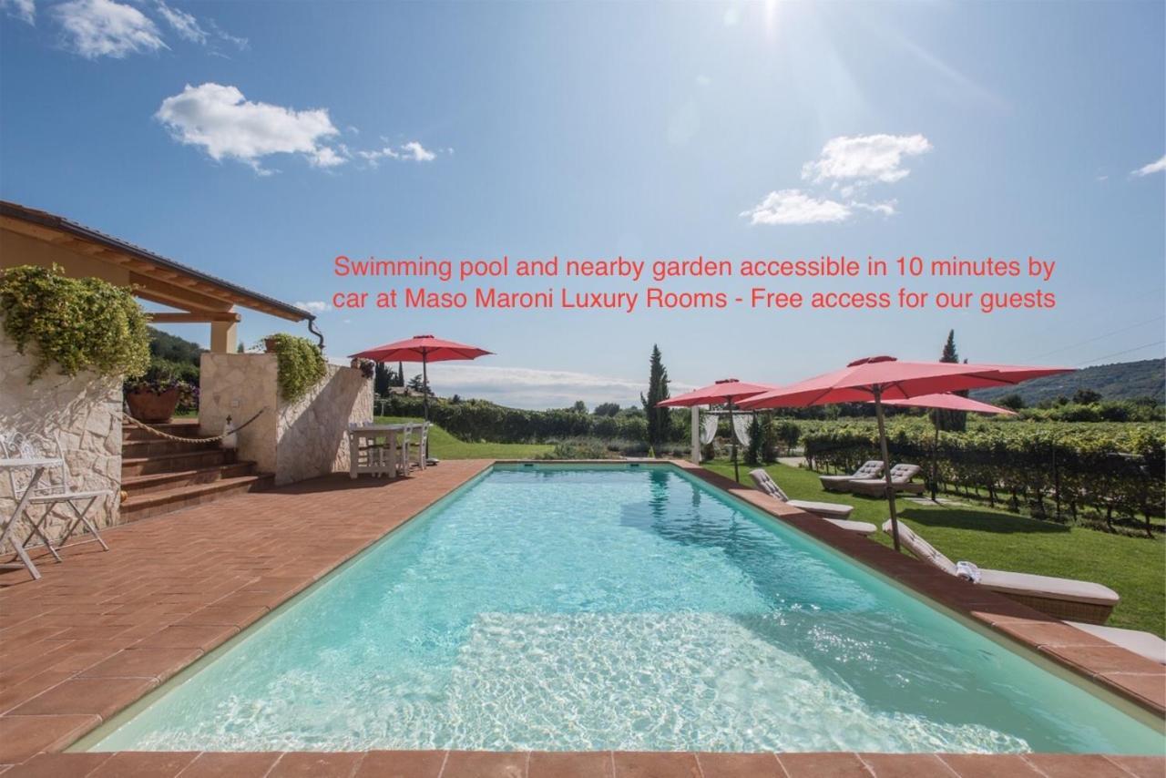 Apartamento Agriturismo Maso Maroni Wine Retreat
