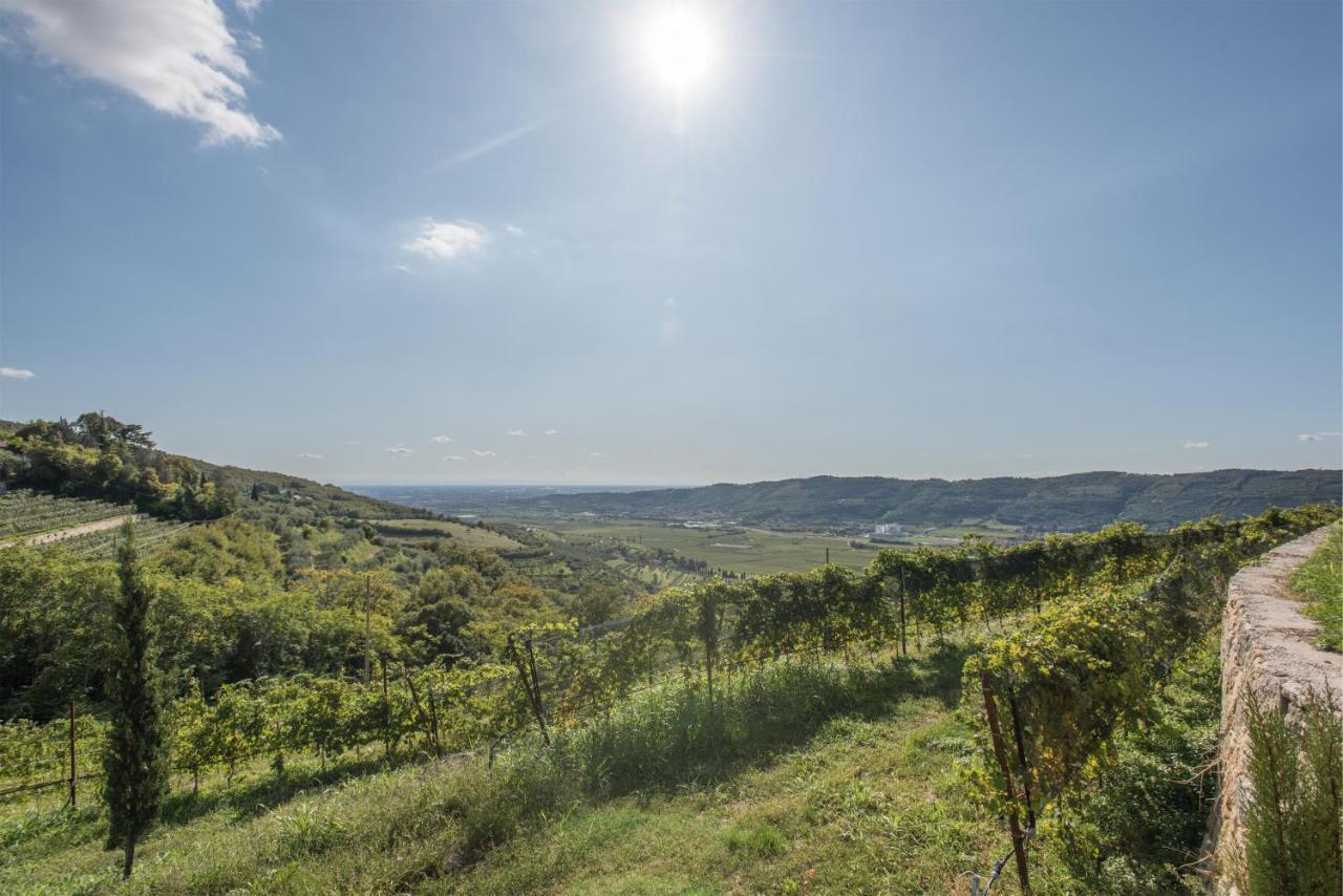 Agriturismo Maso Maroni Wine Retreat Verona